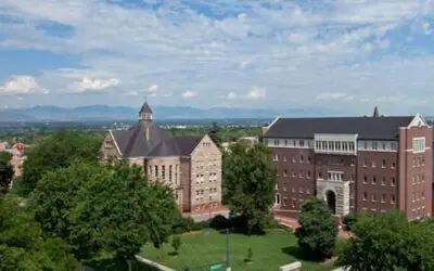 University College is now the College of Professional Studies